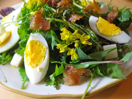 Eliminate Seasonal Allergies on Your Lunch Break! 