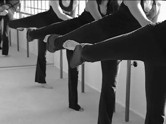 Barre Physique 30 minute Leg Workout