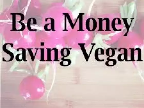 Vegan On A Dime
