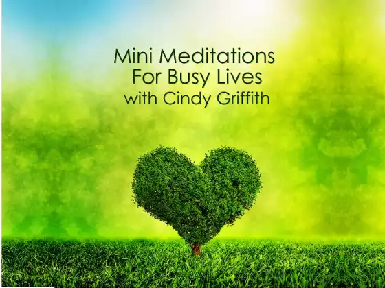  Mini Meditations for Busy Lives