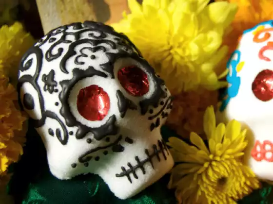 Live Seance:: Honoring the Planet and Ourselves through Sacred Ceremony