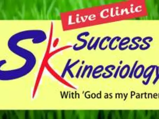 LIVE CLINIC ~ Success Kinesiology, Muscle testing applied to success issues