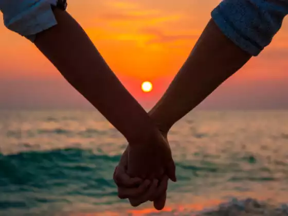 Calling all successful women ready to attract an amazing evolved mate! 