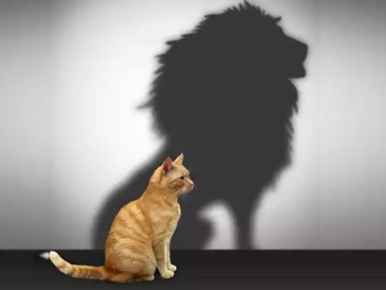 You Are Good Enough: The Power of Self-Esteem