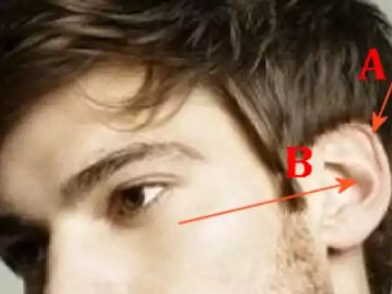Face Reading 