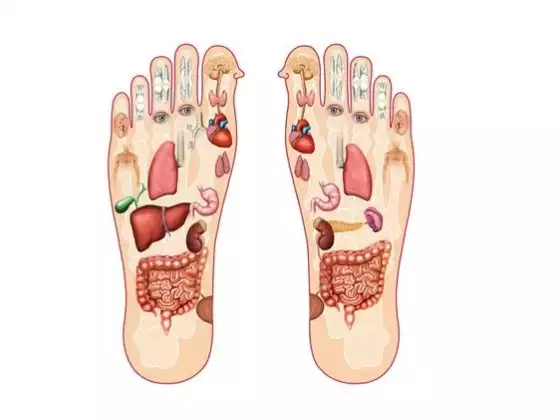 Reflexology