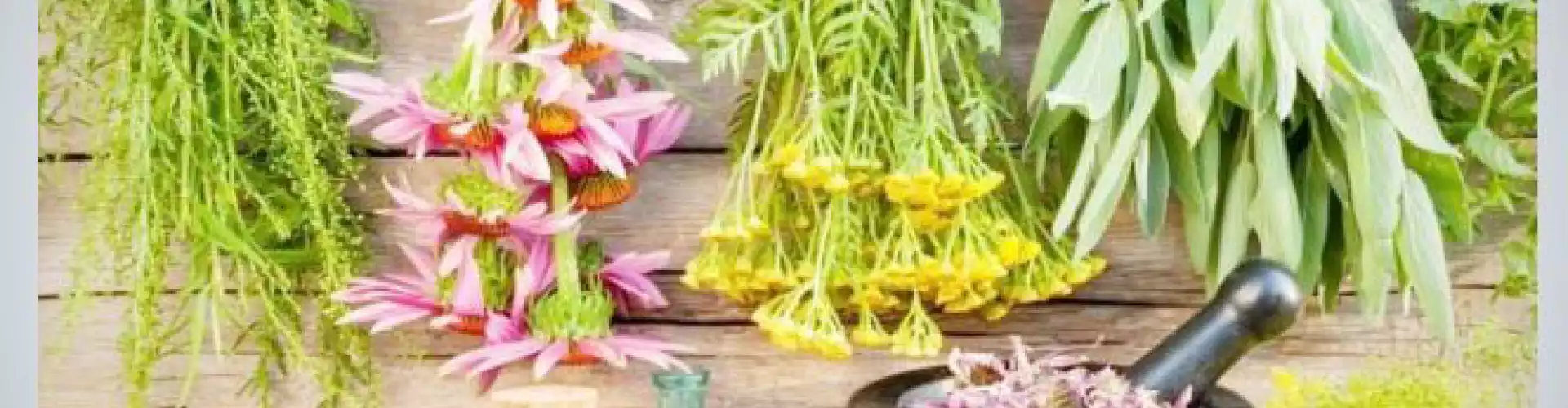 Healing GP and Digestive Challenges Naturally - Online Class by Chalyce Macoskey