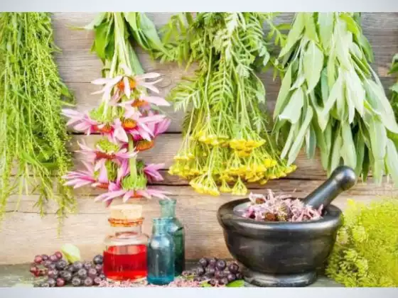 Healing GP and Digestive Challenges Naturally
