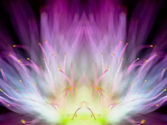 Ascended Master Sarahs Violet Flame - Shifting from 3D to 5D