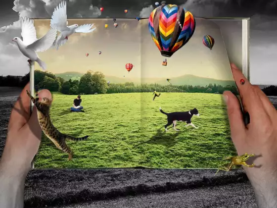 Imagine Your Story Workshop Series