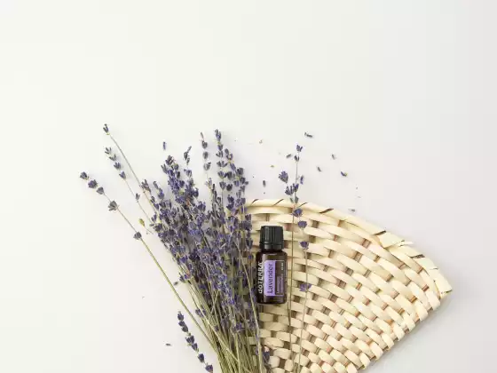 Essential Oils 101