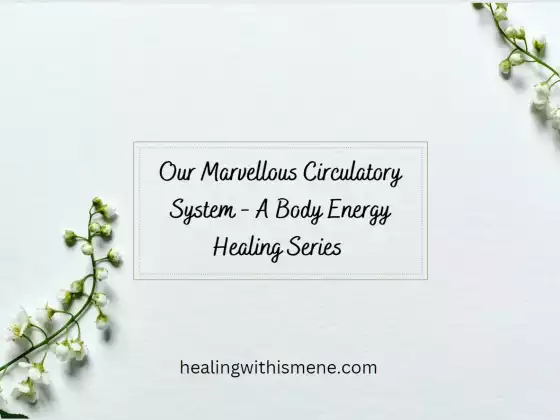 Notre merveilleux système circulatoire - Une série de soins énergétiques corporels