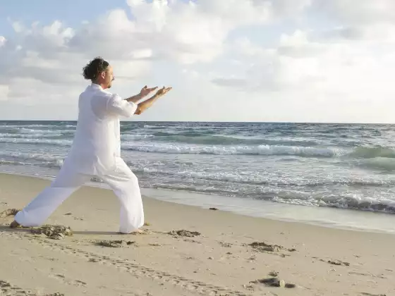 Baduanjin Qigong Quotidien