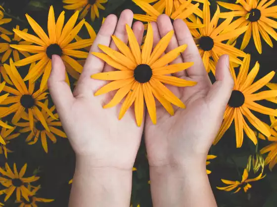 Fin de semana de maestría de Reiki