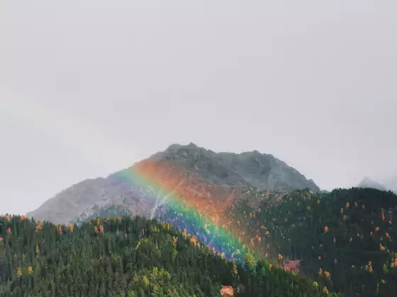 Aprende a ver auras