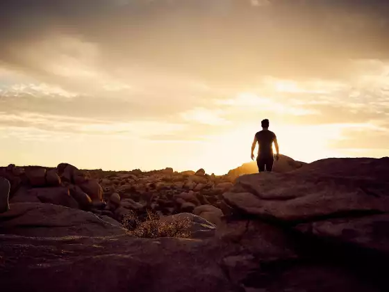 Meditation For Awakening - May 4 2022