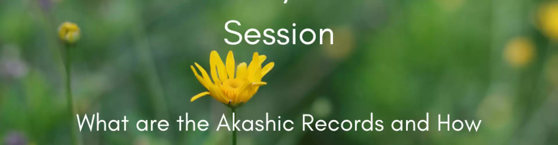 Introduction aux Annales Akashiques - Online Class by Kevin Jackson