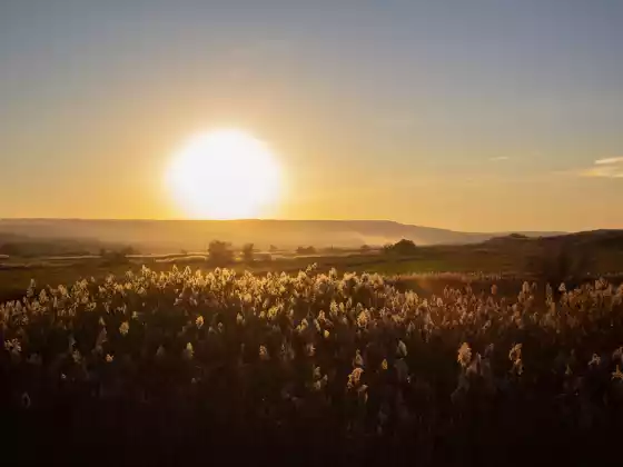 Turbine sua vida e o caminho de sua alma através dos Registros Akáshicos