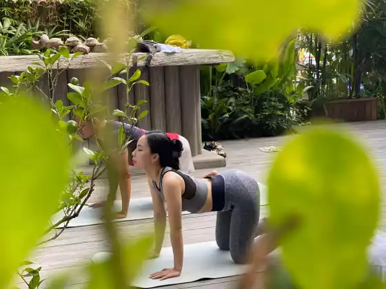 Yoga Nidra #21