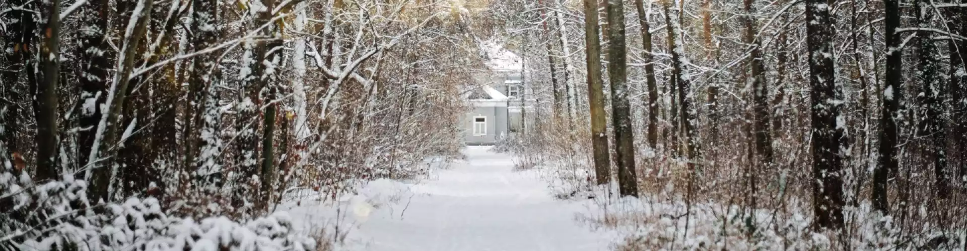 Winter Solstice Energy Healing Ceremony - Online Class by Cassaundra Paolini