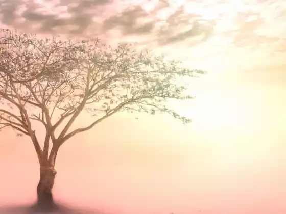 Sanación de vidas pasadas: técnicas de meditación y energía