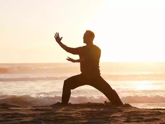 Qi Gong aux 8 Brocarts
