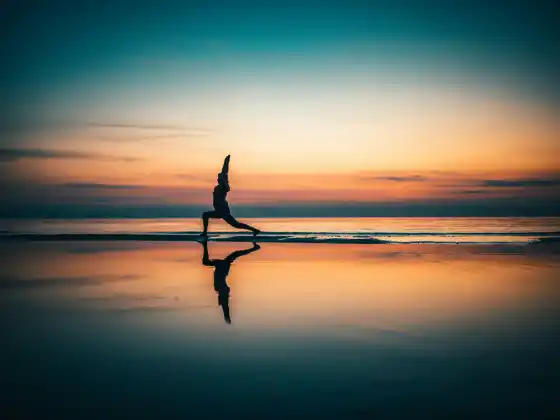 Bienvenida e introducción - Formación de profesores de yoga 200 HR