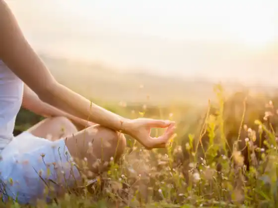 Módulo 14 (7 leyes espirituales) - Formación de profesores de yoga de 200 horas