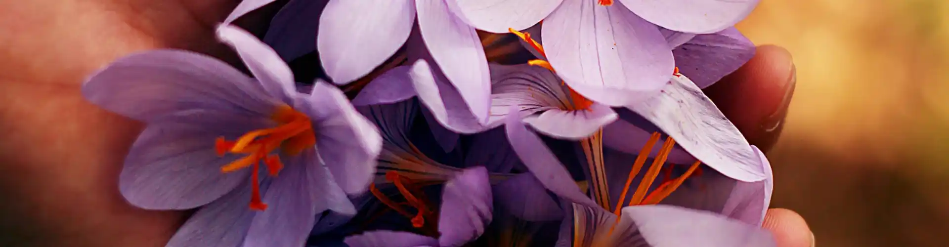 Reiki Niveau 1 - Online Class by Jamie Butler