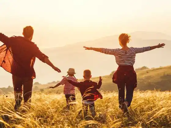 ذاتی آرگنائزنگ سیریز