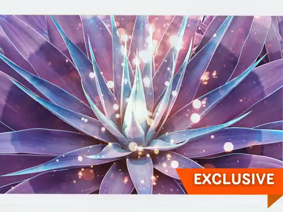 Cắt dây rốn và chữa lành ngày xuân phân