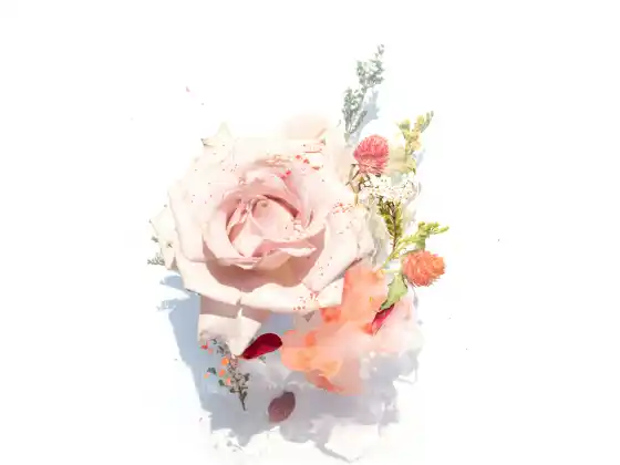 灵气 2 后续