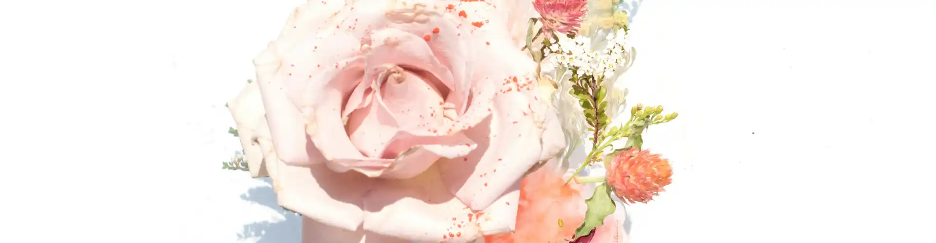 Suivi de la maîtrise Reiki - Online Class by Jamie Butler
