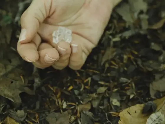 Soins Reiki à distance - Saison des équinoxes et des éclipses d'automne